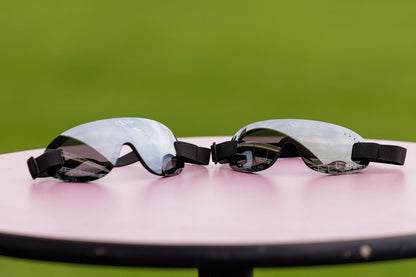 Shore Goggles - Silver
