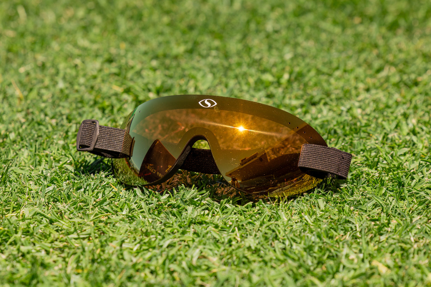 Shore Goggles - Gold