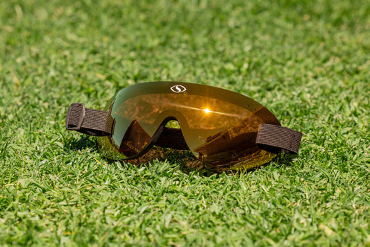 Shore Goggles - Gold